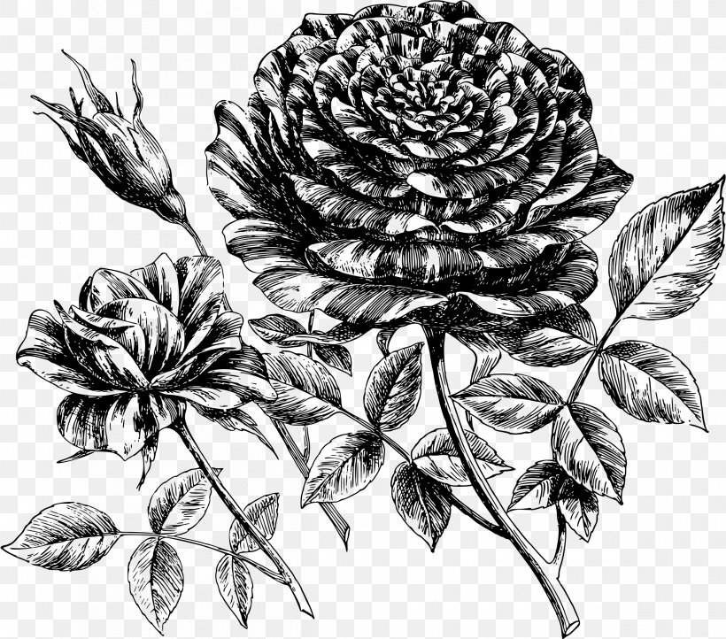 Drawing Clip Art, PNG, 2400x2114px, Drawing, Black And White, Flora, Floral Design, Flower Download Free