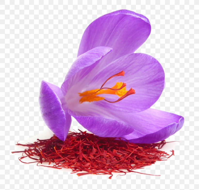 Saffron Autumn Crocus Stock Photography Royalty-free Food, PNG, 3453x3304px, Saffron, Autumn Crocus, Crocus, Flower, Flowering Plant Download Free