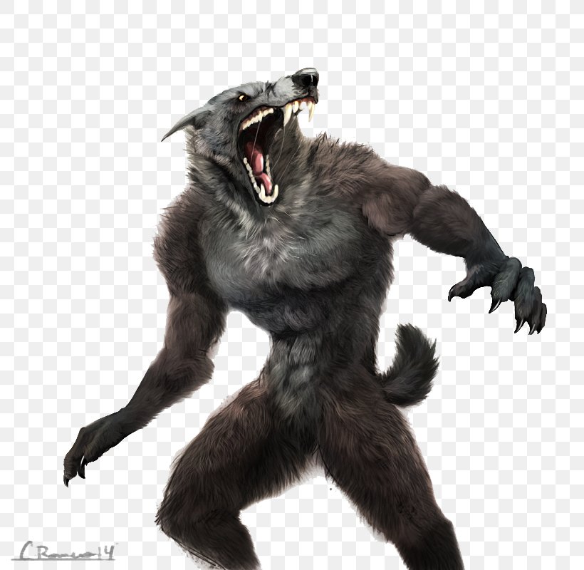 Werewolf Clip Art, PNG, 800x800px, Gray Wolf, Art, Bigfoot, Drawing, Fictional Character Download Free