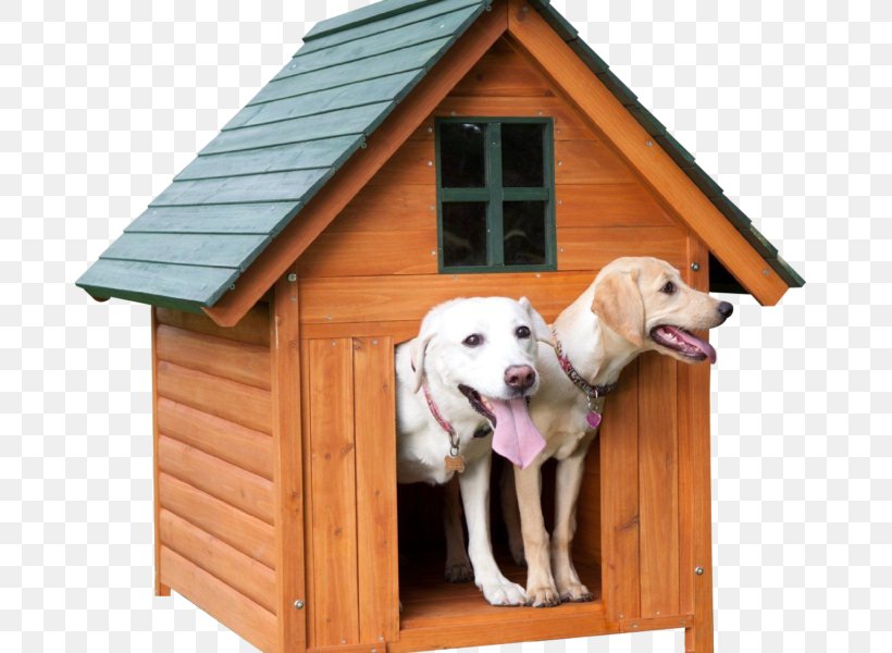 Labrador Retriever Golden Retriever Dog Houses Kennel Cat, PNG, 800x600px, Labrador Retriever, Cat, Dog, Dog Breed, Dog Crate Download Free