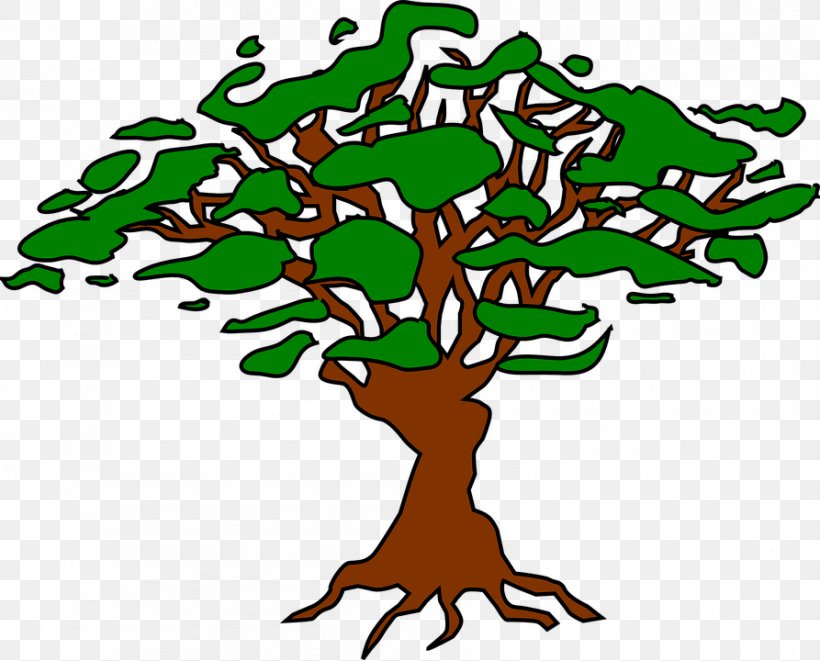 Tree Root Prefix Clip Art, PNG, 893x720px, Tree, Affix, Area, Artwork, Branch Download Free