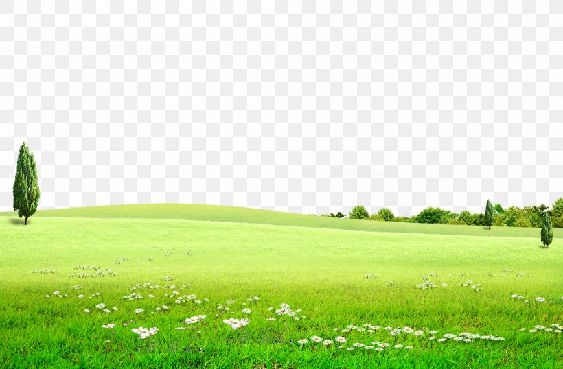 Background Green Meadow, Prairie, Flowers, Nature, Outdoor Tourism, PNG, 2000x1314px, Lawn, Blue, Color, Daytime, Energy Download Free
