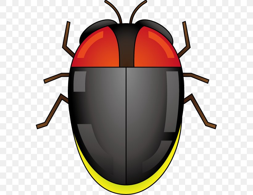 Beetle Clip Art Product Design, PNG, 587x633px, Beetle, Insect, Insect Wing, Invertebrate, Membrane Winged Insect Download Free
