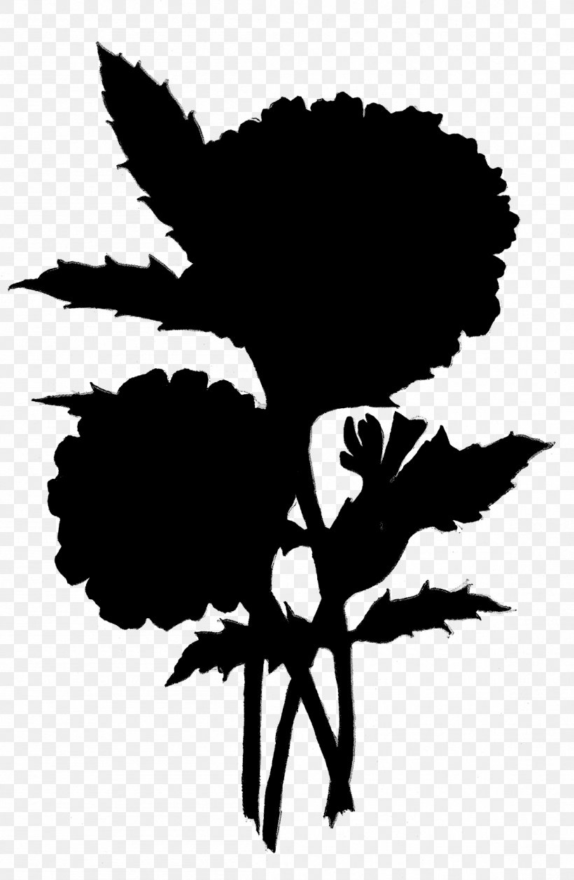 Clip Art Flower Leaf Plant Stem Silhouette, PNG, 1153x1768px, Flower, Blackandwhite, Botany, Branching, Flowering Plant Download Free