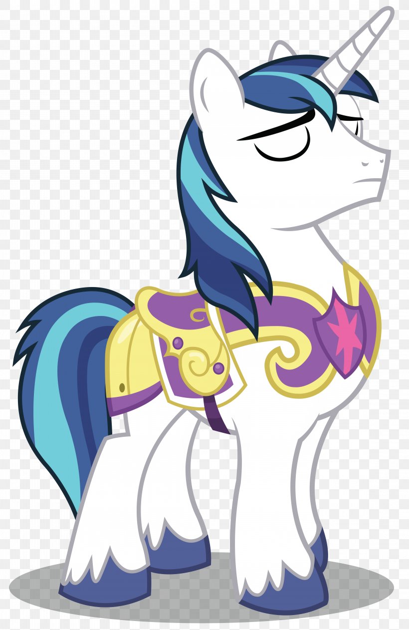 Princess Cadance Shining Armor Twilight Sparkle Pony Rainbow Dash, PNG, 4545x7000px, Watercolor, Cartoon, Flower, Frame, Heart Download Free