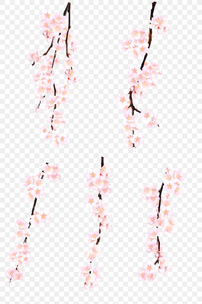 Cherry Blossom Pink Computer File, PNG, 2000x3000px, Cherry Blossom, Branch, Cherry, Clothing, Color Download Free
