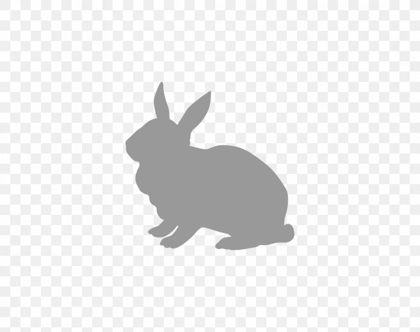 Domestic Rabbit Hare Lionhead Rabbit Easter Bunny, PNG, 1008x798px, Domestic Rabbit, Black, Black And White, Canidae, Dog Download Free