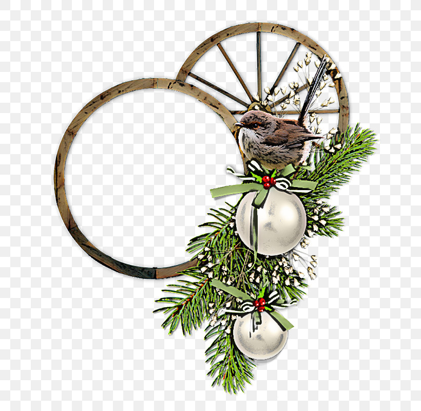 Christmas Decoration, PNG, 677x800px, Oregon Pine, American Larch, Branch, Christmas Decoration, Colorado Spruce Download Free