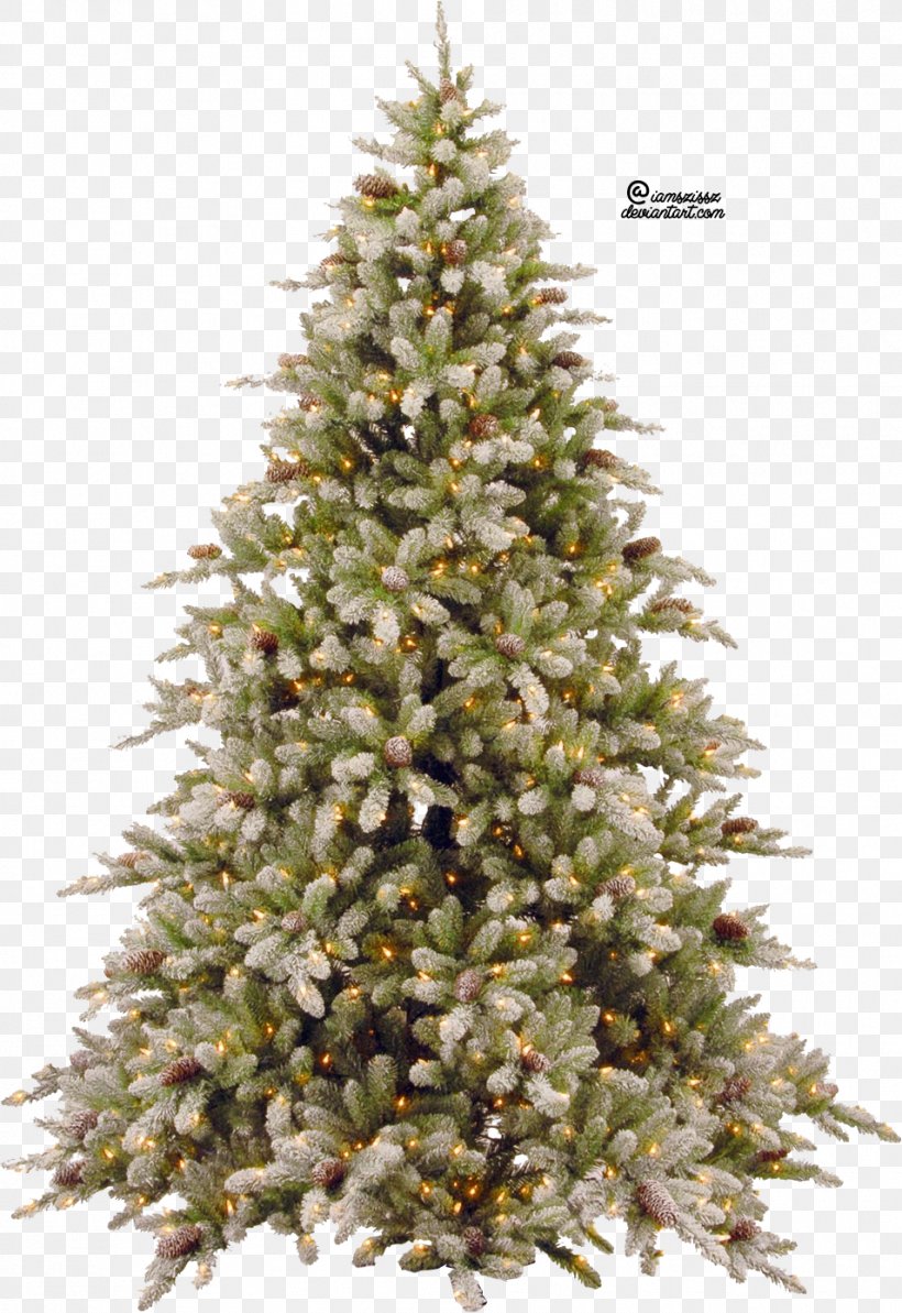 Christmas Tree, PNG, 955x1390px, Balsam Fir, Abies Concolor, Artificial Christmas Tree, Balsam Hill, Christmas Download Free