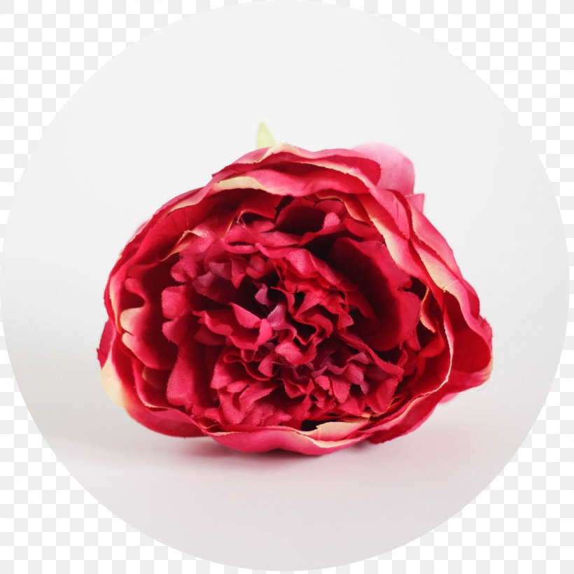 Garden Roses Red Peony Cabbage Rose Green, PNG, 2188x2188px, Garden Roses, Blue, Cabbage Rose, Cut Flowers, Flower Download Free