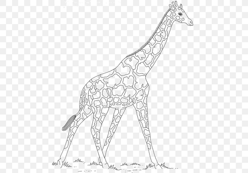 Giraffe Line Art Neck Wildlife Animal, PNG, 475x574px, Giraffe, Animal, Animal Figure, Area, Artwork Download Free