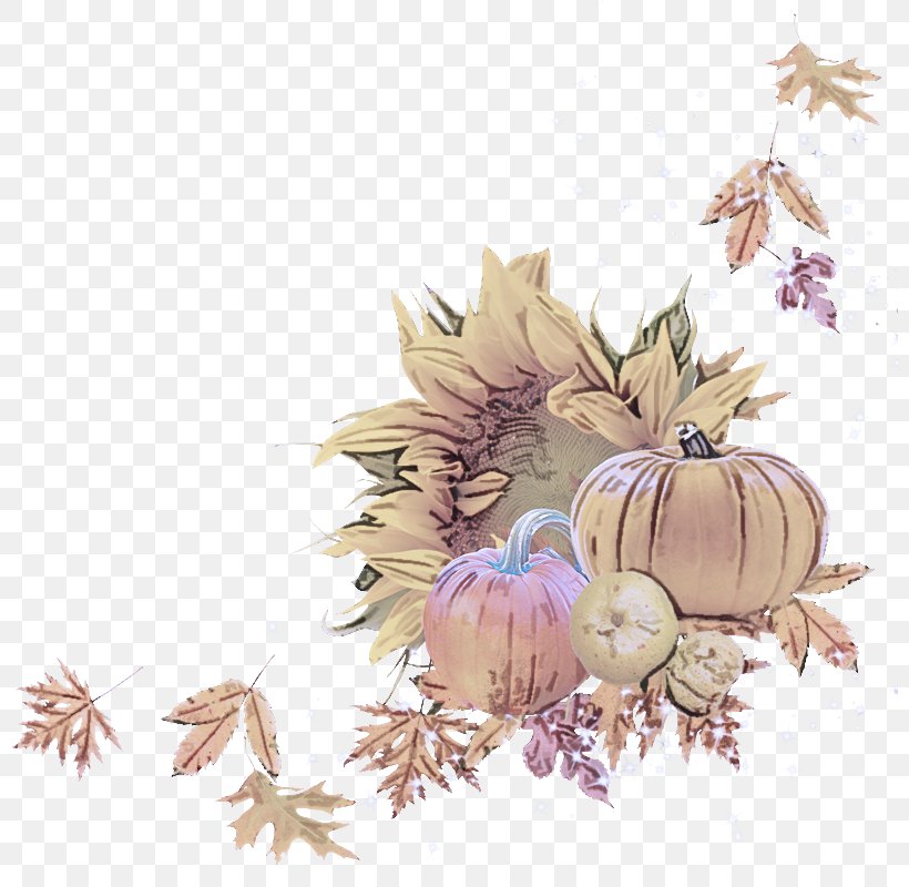 Leaf Clip Art Plant Autumn, PNG, 800x800px, Leaf, Autumn, Plant Download Free