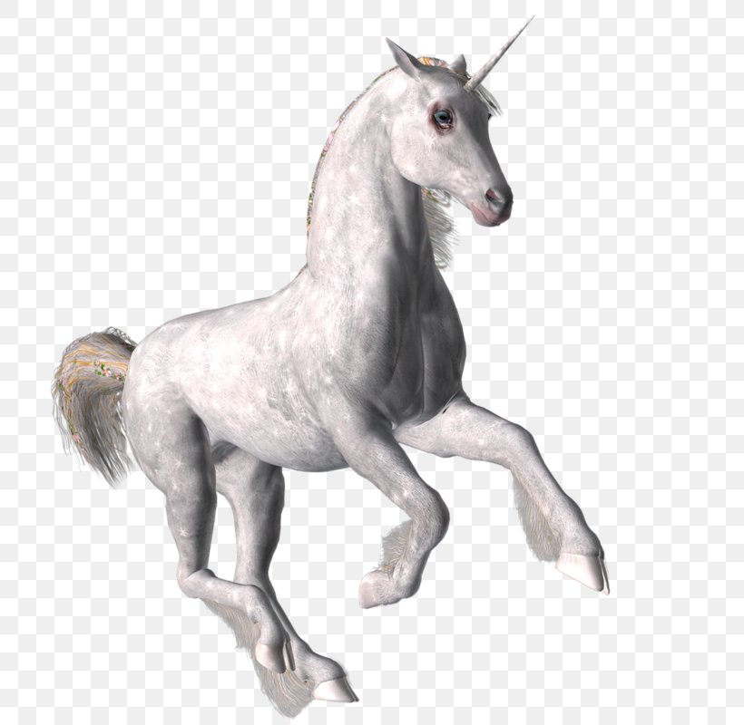 Mustang Stallion Pony Unicorn Mane, PNG, 800x800px, Mustang, Animal, Animal Figure, Colt, Fictional Character Download Free