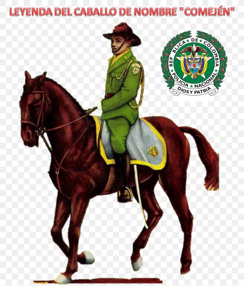 National Police Of Colombia Horse National Police Corps Mounted Police, PNG, 815x962px, National Police Of Colombia, Bridle, Carabineros De Chile, Colombia, Equestrian Download Free