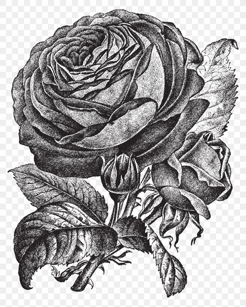 Sleeve Tattoo Drawing Image Art, PNG, 1857x2323px, Tattoo, Abziehtattoo, Art, Black Rose, Blackandwhite Download Free