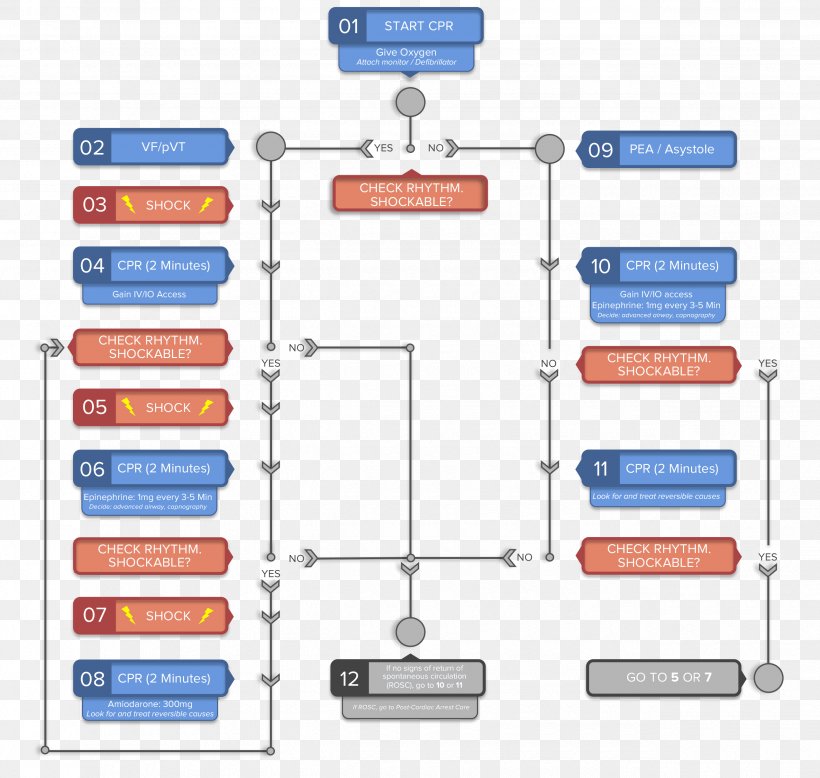 Advanced Cardiac Life Support Pulseless Electrical Activity Cardiopulmonary Resuscitation Asystole Algorithm, PNG, 2550x2421px, Advanced Cardiac Life Support, Algorithm, American Heart Association, Area, Asystole Download Free