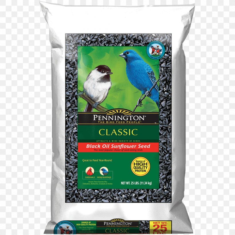 Bird Food Ant Amdro Bait, PNG, 1000x1000px, Bird Food, Amdro, Ant, Bait, Bird Supply Download Free