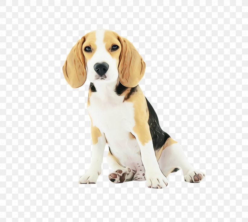 Dog And Cat, PNG, 2112x1892px, Cute Dog, American Foxhound, Animal, Animal Loss, Artois Hound Download Free