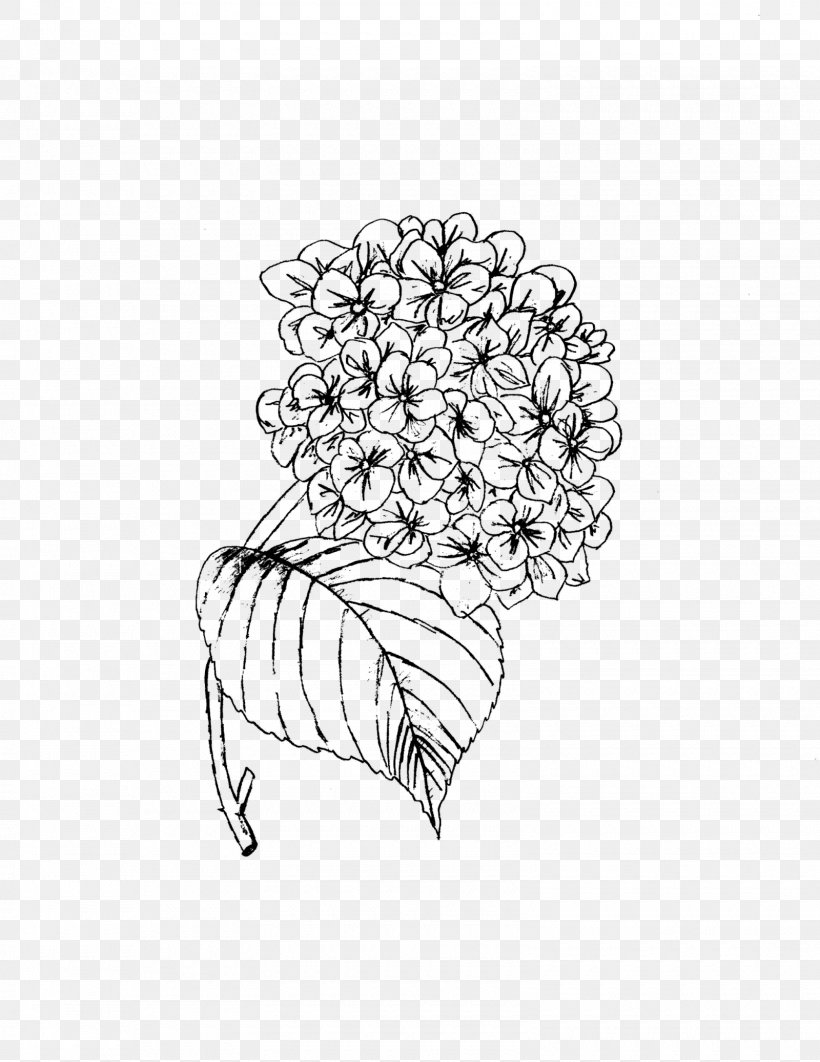 Flower Line Art, PNG, 1600x2074px, Line Art, Bride, Brooch, Coloring Book, Drawing Download Free