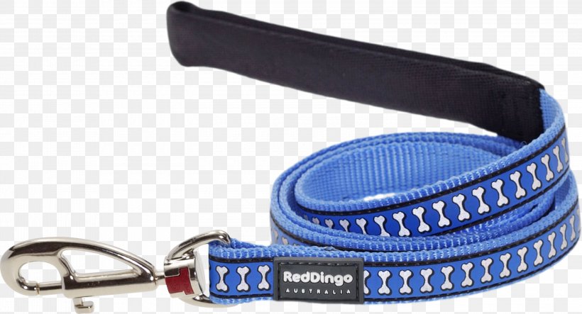 Leash Dog Collar Dingo Dog Grooming, PNG, 3000x1624px, Leash, Belt, Blue, Collar, Dingo Download Free