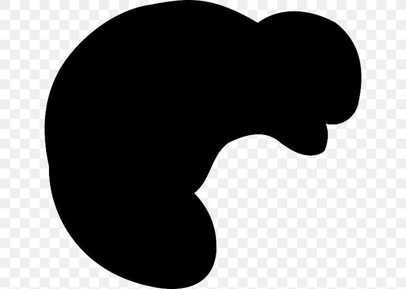Beaver Silhouette Clip Art, PNG, 640x583px, Beaver, Animal, Black, Black And White, Cartoon Download Free