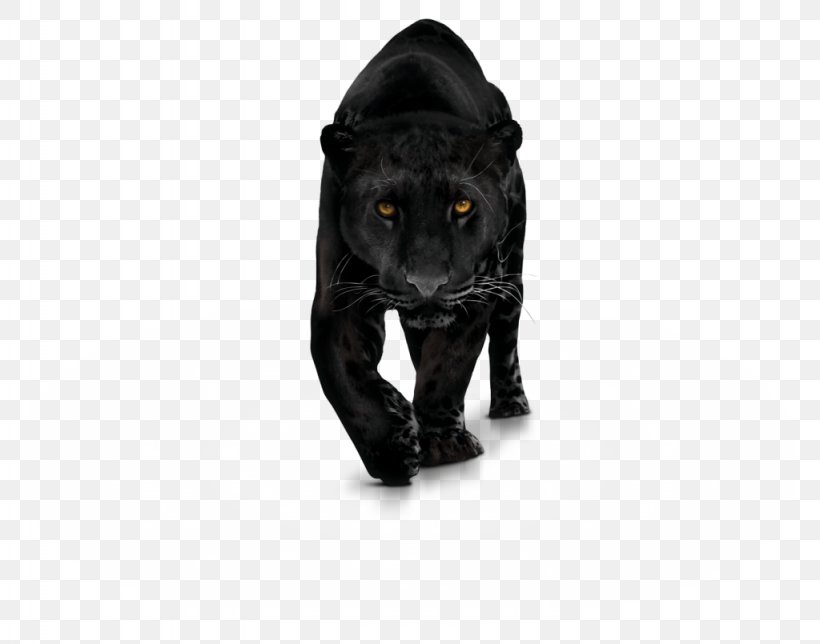 Black Panther Clip Art, PNG, 1024x805px, Black Panther, Big Cats, Black, Black Cat, Carnivoran Download Free