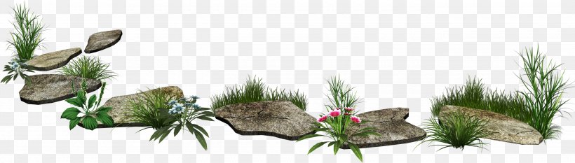 Clip Art, PNG, 2660x758px, Stone, Aquarium Decor, Branch, Drawing, Ecosystem Download Free