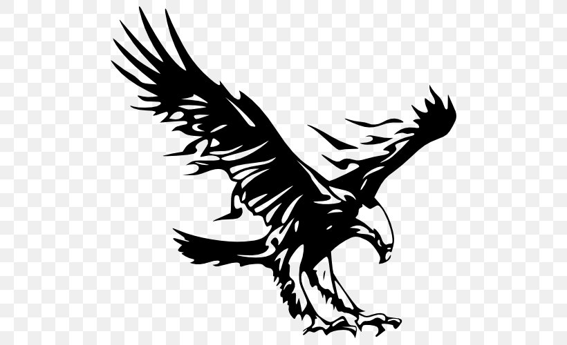 Logo Bald Eagle Golden Eagle, PNG, 500x500px, Logo, Artwork, Bald Eagle, Beak, Bird Download Free