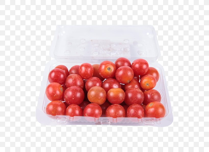 Plum Tomato Bush Tomato Cherry Tomato Celebrity Tomato Vegetable, PNG, 600x600px, Plum Tomato, Bush Tomato, Cerasus, Cherry, Cherry Tomato Download Free