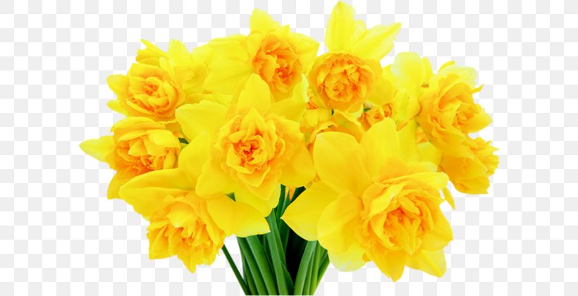 Jonquil Flower Clip Art Windows Thumbnail Cache, PNG, 600x420px, Jonquil, Amaryllis Family, Cut Flowers, Daffodil, Floral Design Download Free