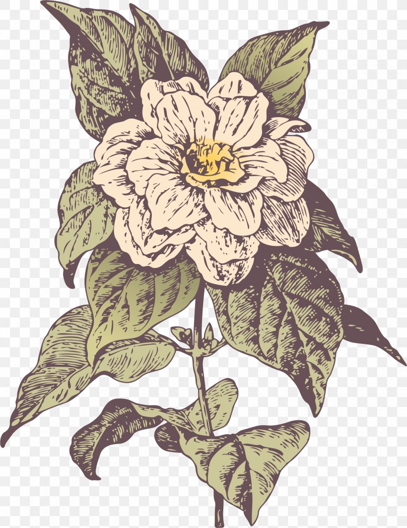 Flower Clip Art, PNG, 1839x2388px, Flower, Drawing, Flora, Floral Design, Flowering Plant Download Free