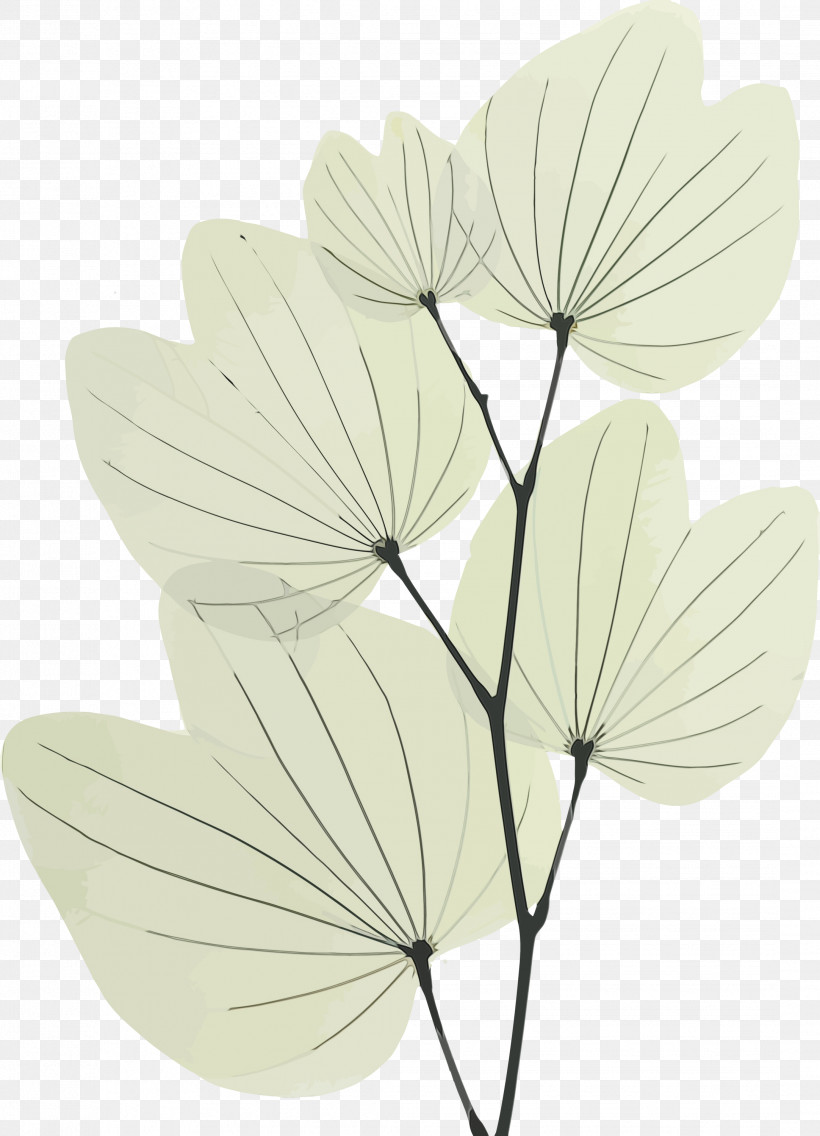 Leaf Petal Flower Plant Anthurium, PNG, 2164x3000px, Bodhi Leaf, Anthurium, Bodhi, Bodhi Day, Flower Download Free