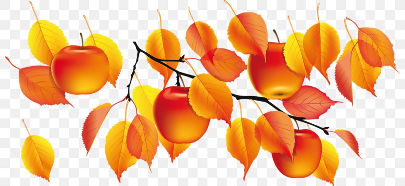 Golden Autumn Clip Art, PNG, 800x377px, Golden Autumn, Autumn, Autumn Leaf Color, Drawing, Flower Download Free