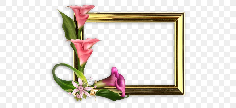 Matilde Calderón Y González Mother's Day Photography, PNG, 500x377px, Mother, Art, Cut Flowers, Family, Father Download Free