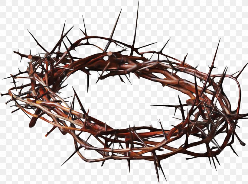 Christmas Decoration Cartoon, PNG, 1226x912px, Crown Of Thorns, Aquarium Decor, Branch, Christian Cross, Christianity Download Free