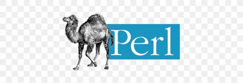 Perl Dynamic Programming Language Scripting Language Computer Programming, PNG, 1667x573px, Perl, Black And White, Brand, Camel, Camel Like Mammal Download Free