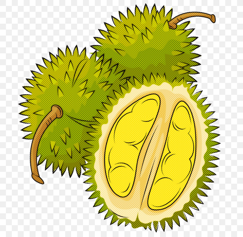Plant Durian Tree Fruit Biology, PNG, 721x800px, Plant, Biology, Durian, Fruit, Science Download Free