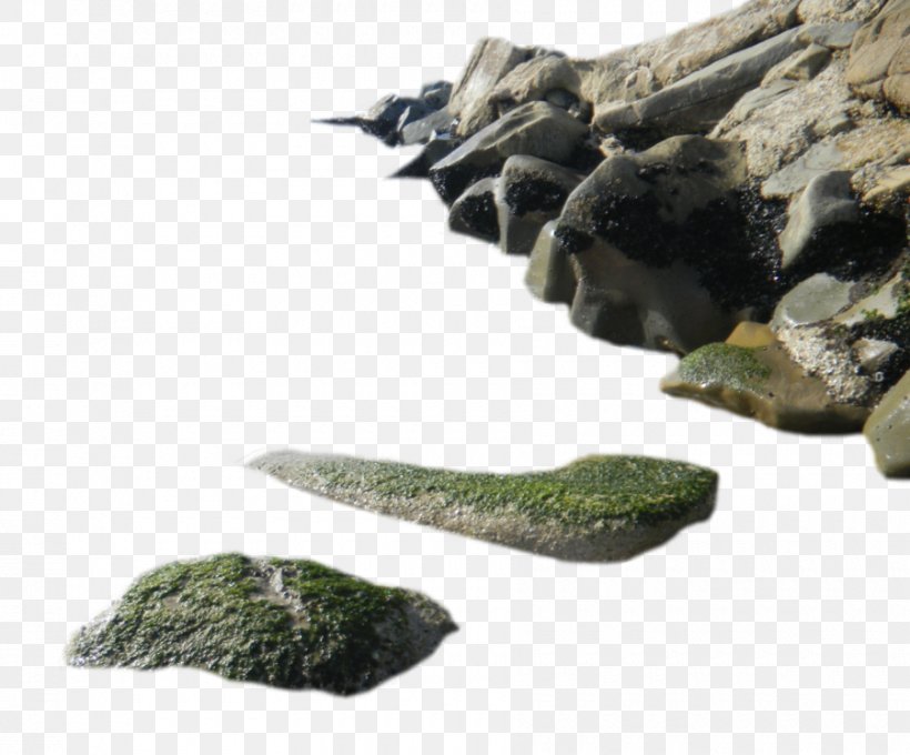 Rock Seaweed, PNG, 900x747px, Rock, Boulder, Deviantart, Marble, Quotation Download Free