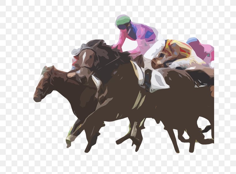 Horse Racing Professional Sports Athlete Football Player, PNG, 669x607px, Horse Racing, Animal Sports, Athlete, Equestrian, Equestrian Sport Download Free