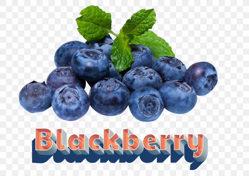 Juice Blueberry Pie, PNG, 1669x1180px, Juice, Berry, Bilberry, Blueberry, Blueberry Pie Download Free