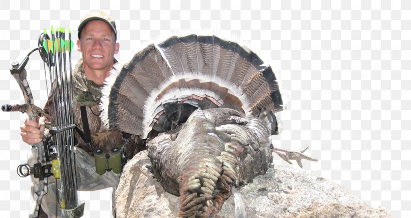 Turkey Hunting Turkey Hunting Turkey Call Domesticated Turkey, PNG, 1131x600px, Hunting, Beak, College, Domesticated Turkey, Episode Download Free