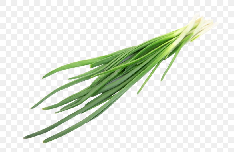 Allium Fistulosum Chives Herb Onion Ingredient, PNG, 800x533px, Allium Fistulosum, Allicin, Asian Cuisine, Bulb, Chives Download Free