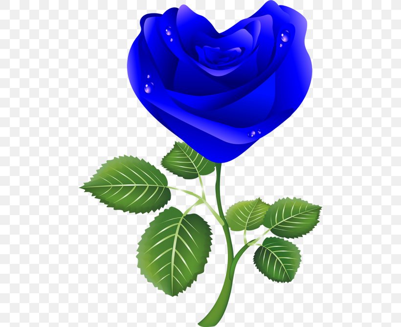 Rose White Clip Art, PNG, 500x669px, Rose, Blue, Blue Rose, Cobalt Blue, Cut Flowers Download Free