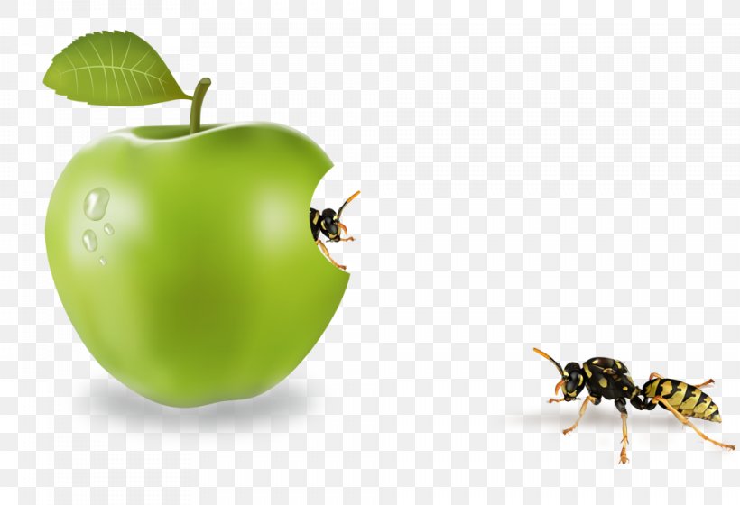 Apple Computer File, PNG, 984x672px, Apple, Food, Fruit, Granny Smith, Insect Download Free