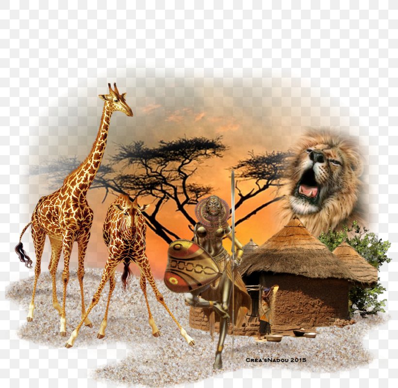 Lion Northern Giraffe Hit Single Wildlife, PNG, 800x800px, Lion, Animal, Canalblog, Fauna, Giraffe Download Free