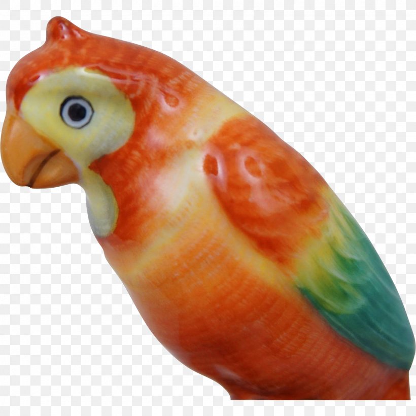 Lovebird Macaw Parakeet Pet Beak, PNG, 1560x1560px, Lovebird, Beak, Bird, Common Pet Parakeet, Macaw Download Free