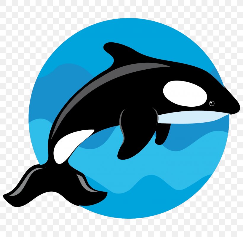 Common Bottlenose Dolphin Killer Whale Porpoise Clip Art, PNG, 800x800px, Common Bottlenose Dolphin, Animal, Beak, Blue Whale, Bottlenose Dolphin Download Free