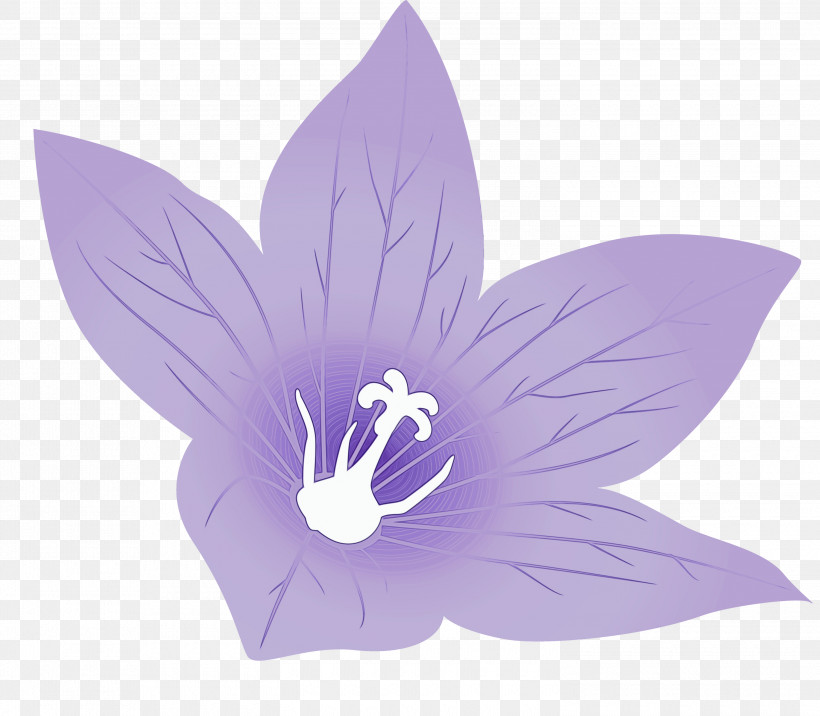 Lavender, PNG, 3000x2622px, Balloon Flower, Flower, Lavender, Paint, Petal Download Free