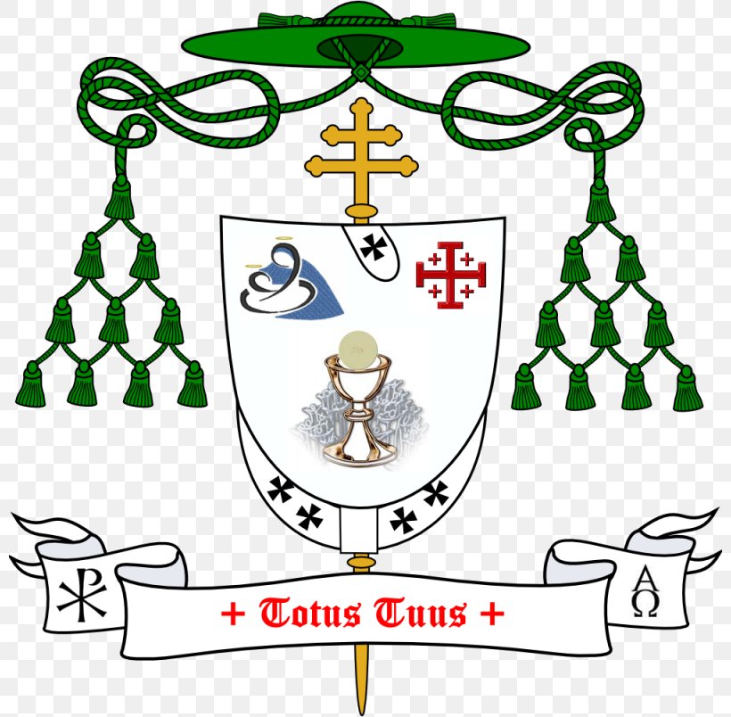 Catholicism Diocese Cardinal Archbishop, PNG, 800x804px, Catholicism, Archbishop, Archdiocese, Area, Artwork Download Free