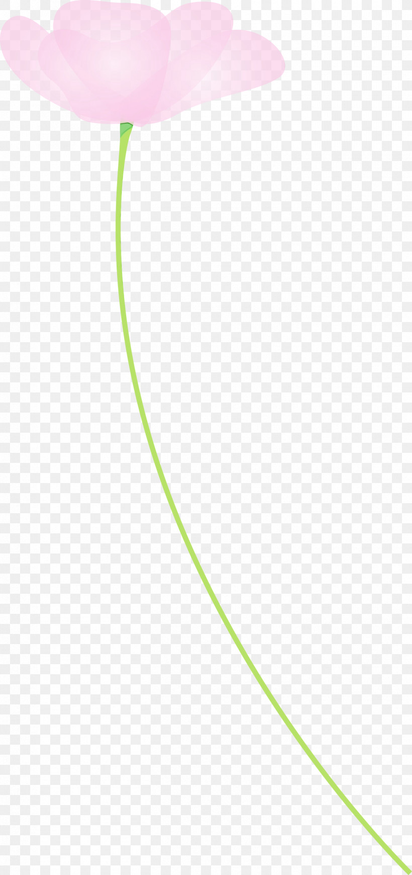 Green Line Circle, PNG, 1414x3000px, Poppy, Circle, Flower, Green, Line Download Free
